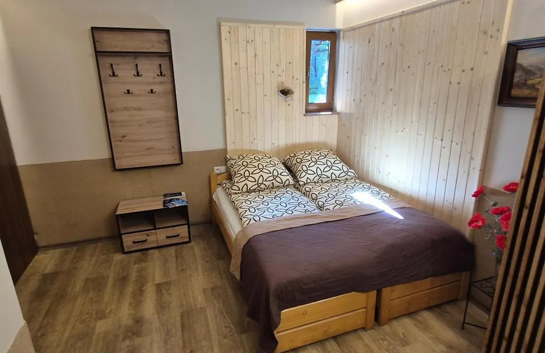 Apartamenty w Centrum - Zakopane-1