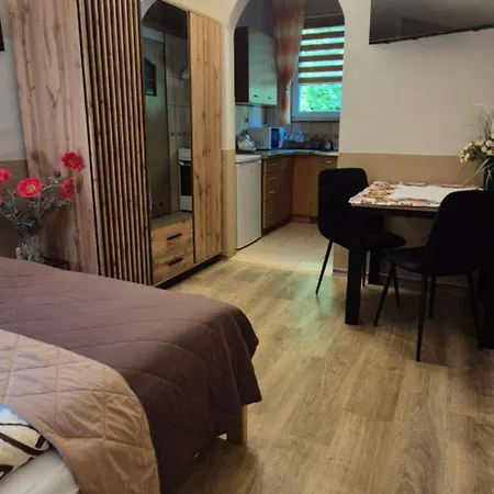 Apartamenty w Centrum - Zakopane-3